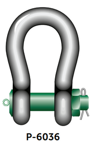 VAN BEEST GREEN PIN HEAVY DUTY SHACKLE