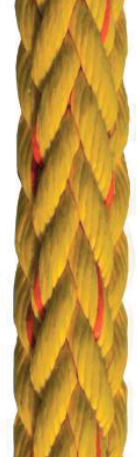 12 STRANDS TIPTO® TWELVE